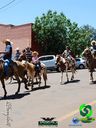 20-10-2013_cavalgada_urai_007.jpg