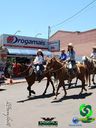 20-10-2013_cavalgada_urai_220.jpg