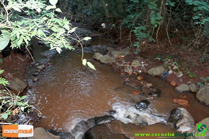 Nascente de ÃƒÆ’Ã†â€™Ãƒâ€šÃ‚Âgua limpa e fresca ao lado do Conjunto Habitacional, responsÃƒÆ’Ã†â€™Ãƒâ€šÃ‚Â¡vel pela Mata ali existente que podemos aprecia-la!
