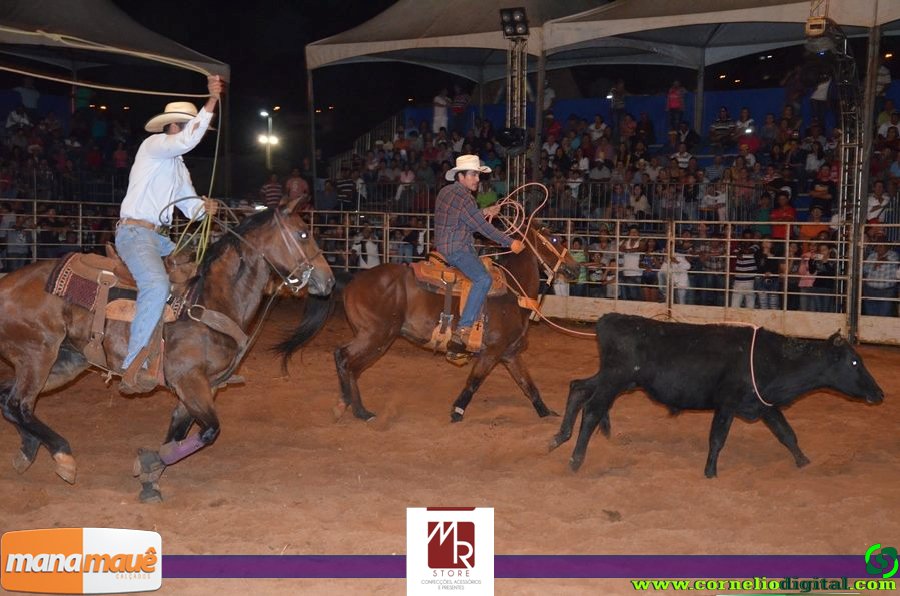 14-06-2015_expoasa_final_rodeio_007.jpg
