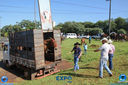 Filename=11-03-2018_Cavalgada_Expo_Londrina_079.jpg
Filesize=277KiB
Dimensions=800x533
Date added=Mar 13, 2018 11-03-2018_Cavalgada_Expo_Londrina_079.jpg