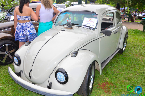 Filename=DSC_4297.jpg
Filesize=302KiB
Dimensions=960x636
Date added=Nov 24, 2025 DSC_4297.jpg