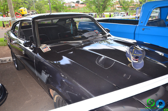 Filename=DSC_4411.jpg
Filesize=276KiB
Dimensions=960x636
Date added=Nov 24, 2025 DSC_4411.jpg