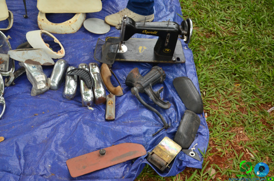 Filename=DSC_4423.jpg
Filesize=351KiB
Dimensions=960x636
Date added=Nov 24, 2025 DSC_4423.jpg