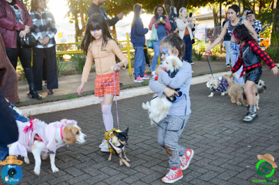 Filename=DSC_0526.jpg
Filesize=680KiB
Dimensions=960x636
Date added=Jul 07, 2025 DSC_0526.jpg