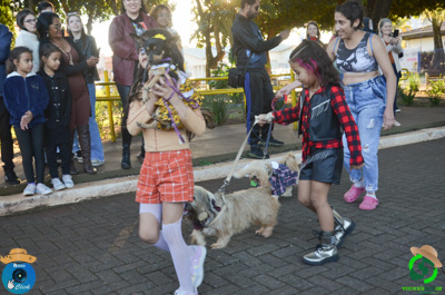 Filename=DSC_0530.jpg
Filesize=622KiB
Dimensions=960x636
Date added=Jul 07, 2025 DSC_0530.jpg