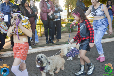 Filename=DSC_0531.jpg
Filesize=632KiB
Dimensions=960x636
Date added=Jul 07, 2025 DSC_0531.jpg