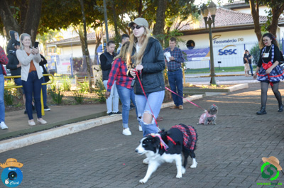 Filename=DSC_0533.jpg
Filesize=631KiB
Dimensions=960x636
Date added=Jul 07, 2025 DSC_0533.jpg