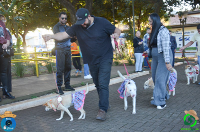 Filename=DSC_0534.jpg
Filesize=589KiB
Dimensions=960x636
Date added=Jul 07, 2025 DSC_0534.jpg