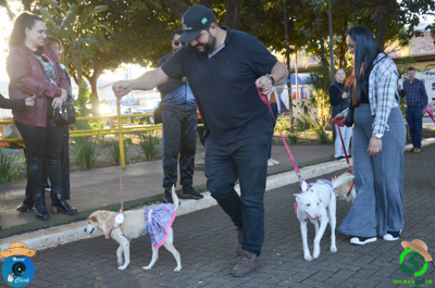 Filename=DSC_0535.jpg
Filesize=627KiB
Dimensions=960x636
Date added=Jul 07, 2025 DSC_0535.jpg