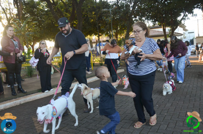 Filename=DSC_0562.jpg
Filesize=640KiB
Dimensions=960x636
Date added=Jul 07, 2025 DSC_0562.jpg