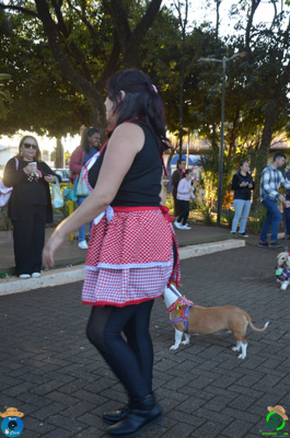 Filename=DSC_0570.jpg
Filesize=621KiB
Dimensions=636x960
Date added=Jul 07, 2025 DSC_0570.jpg