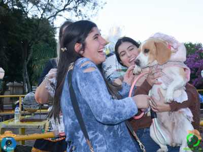 Filename=DSC_0615.jpg
Filesize=580KiB
Dimensions=960x720
Date added=Jul 07, 2025 DSC_0615.jpg