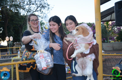 Filename=DSC_0617.jpg
Filesize=580KiB
Dimensions=960x636
Date added=Jul 07, 2025 DSC_0617.jpg