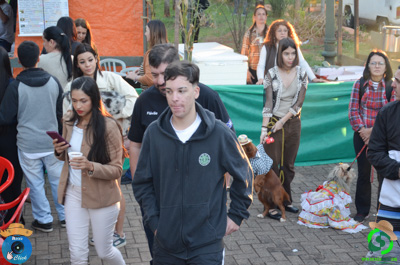 Filename=DSC_0619.jpg
Filesize=581KiB
Dimensions=960x636
Date added=Jul 07, 2025 DSC_0619.jpg