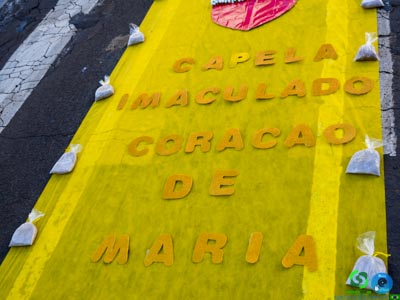 Filename=DSC_6939.jpg
Filesize=311KiB
Dimensions=960x720
Date added=Jun 20, 2025 DSC_6939.jpg