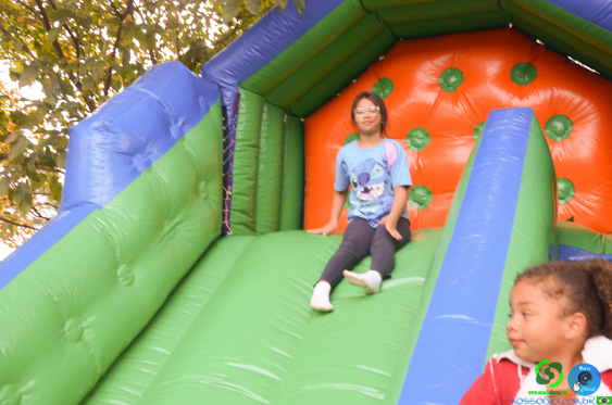 Filename=DSC_1703.jpg
Filesize=249KiB
Dimensions=960x636
Date added=Jul 21, 2025 DSC_1703.jpg