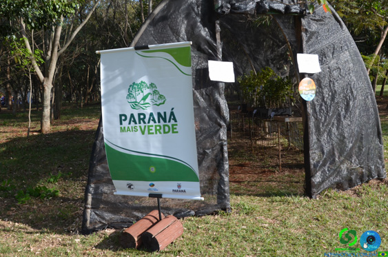 Filename=DSC_1845.jpg
Filesize=389KiB
Dimensions=960x636
Date added=Jul 21, 2025 DSC_1845.jpg