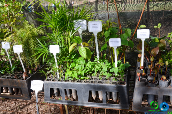 Filename=DSC_1852.jpg
Filesize=449KiB
Dimensions=960x636
Date added=Jul 21, 2025 DSC_1852.jpg