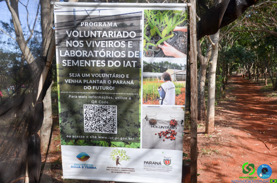 Filename=DSC_1853.jpg
Filesize=382KiB
Dimensions=960x636
Date added=Jul 21, 2025 DSC_1853.jpg