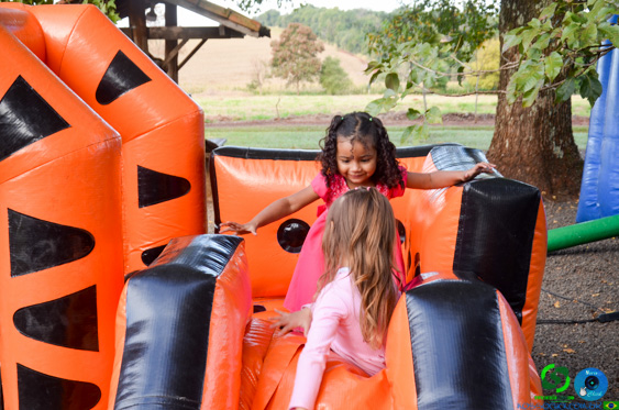 Filename=DSC_1951.jpg
Filesize=333KiB
Dimensions=960x636
Date added=Jul 21, 2025 DSC_1951.jpg