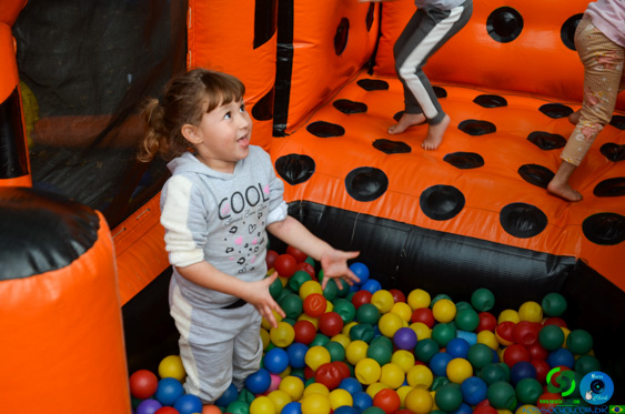 Filename=DSC_2016.jpg
Filesize=270KiB
Dimensions=960x636
Date added=Jul 21, 2025 DSC_2016.jpg