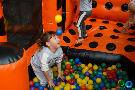 Filename=DSC_2017.jpg
Filesize=259KiB
Dimensions=960x636
Date added=Jul 21, 2025 DSC_2017.jpg