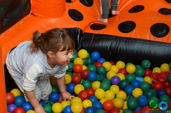 Filename=DSC_2018.jpg
Filesize=263KiB
Dimensions=960x636
Date added=Jul 21, 2025 DSC_2018.jpg