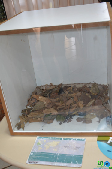 Filename=DSC_2066.jpg
Filesize=161KiB
Dimensions=636x960
Date added=Jul 21, 2025 DSC_2066.jpg