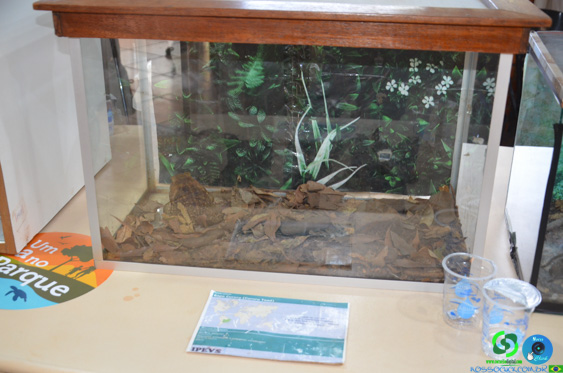 Filename=DSC_2068.jpg
Filesize=241KiB
Dimensions=960x636
Date added=Jul 21, 2025 DSC_2068.jpg