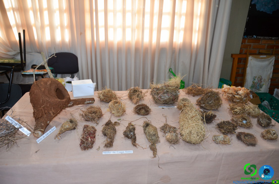 Filename=DSC_2073.jpg
Filesize=250KiB
Dimensions=960x636
Date added=Jul 21, 2025 DSC_2073.jpg