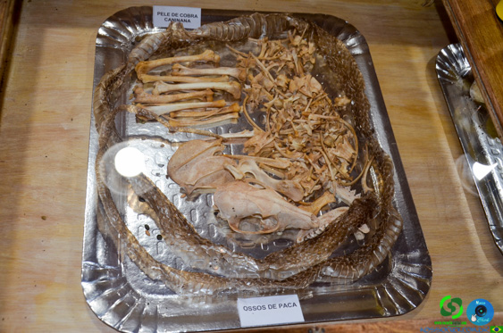 Filename=DSC_2074.jpg
Filesize=339KiB
Dimensions=960x636
Date added=Jul 21, 2025 DSC_2074.jpg