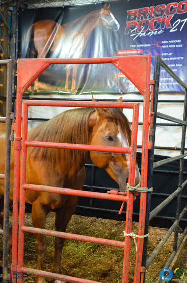 Filename=DSC_2207.jpg
Filesize=311KiB
Dimensions=636x960
Date added=Nov 16, 2025 DSC_2207.jpg