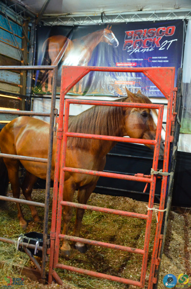 Filename=DSC_2208.jpg
Filesize=332KiB
Dimensions=636x960
Date added=Nov 16, 2025 DSC_2208.jpg