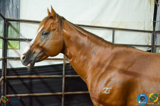 Filename=DSC_2209.jpg
Filesize=231KiB
Dimensions=960x636
Date added=Nov 16, 2025 DSC_2209.jpg