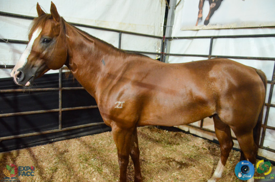 Filename=DSC_2210.jpg
Filesize=251KiB
Dimensions=960x636
Date added=Nov 16, 2025 DSC_2210.jpg