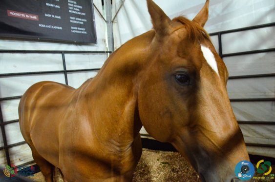 Filename=DSC_2211.jpg
Filesize=221KiB
Dimensions=960x636
Date added=Nov 16, 2025 DSC_2211.jpg