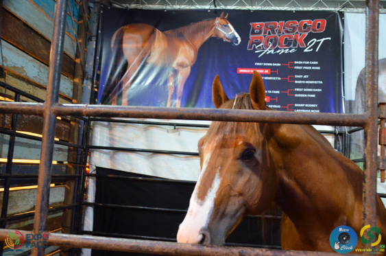 Filename=DSC_2212.jpg
Filesize=258KiB
Dimensions=960x636
Date added=Nov 16, 2025 DSC_2212.jpg