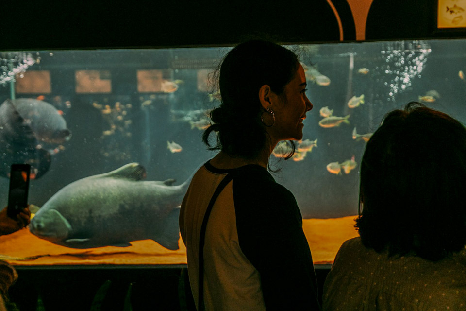 Aquario-213.jpg