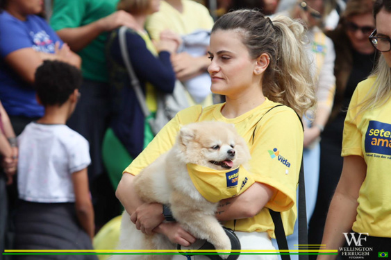 Filename=055.jpg
Filesize=224KiB
Dimensions=960x640
Date added=Sep 08, 2025 055.jpg