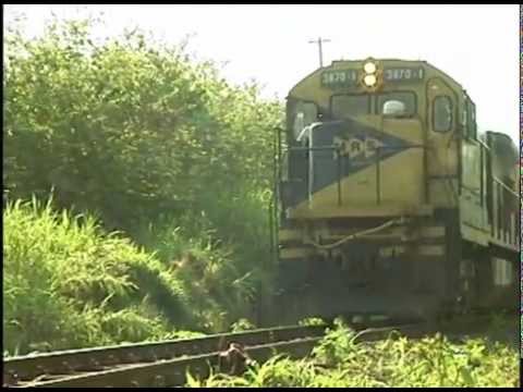 Homem é atropelado por trem em Bandeirantes