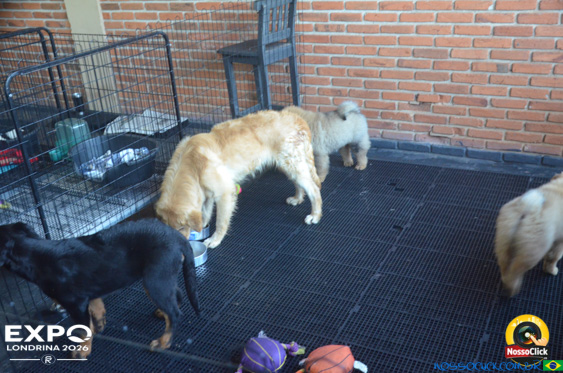 Expo Londrina 2026 em Londrina - 19/04/2026 - Foto 34