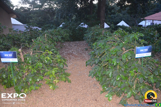 Expo Londrina 2026 em Londrina - 19/04/2026 - Foto 70