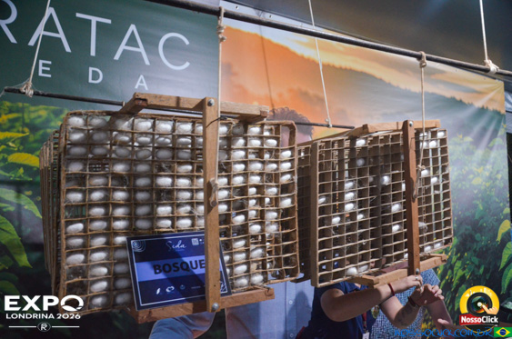 Expo Londrina 2026 em Londrina - 19/04/2026 - Foto 86