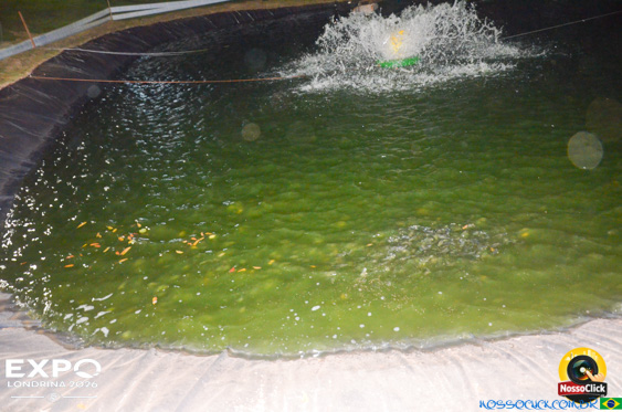 Expo Londrina 2026 em Londrina - 19/04/2026 - Foto 101