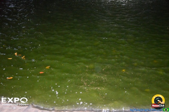 Expo Londrina 2026 em Londrina - 19/04/2026 - Foto 103