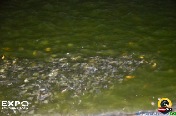 Expo Londrina 2026 em Londrina - 19/04/2026 - Foto 104