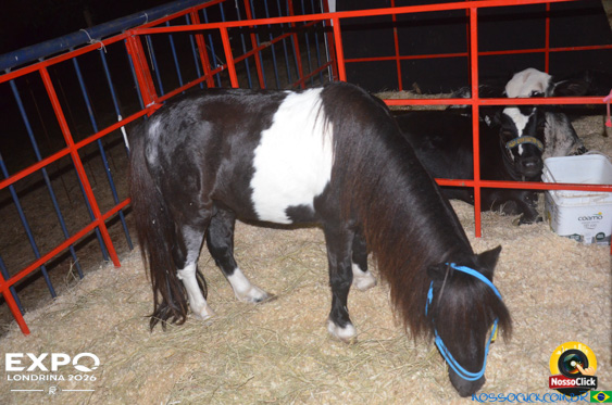 Expo Londrina 2026 em Londrina - 19/04/2026 - Foto 108