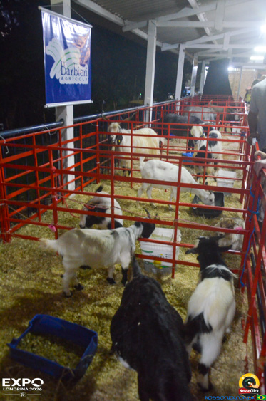 Expo Londrina 2026 em Londrina - 19/04/2026 - Foto 114