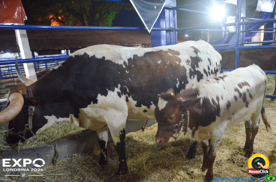 Expo Londrina 2026 em Londrina - 19/04/2026 - Foto 183